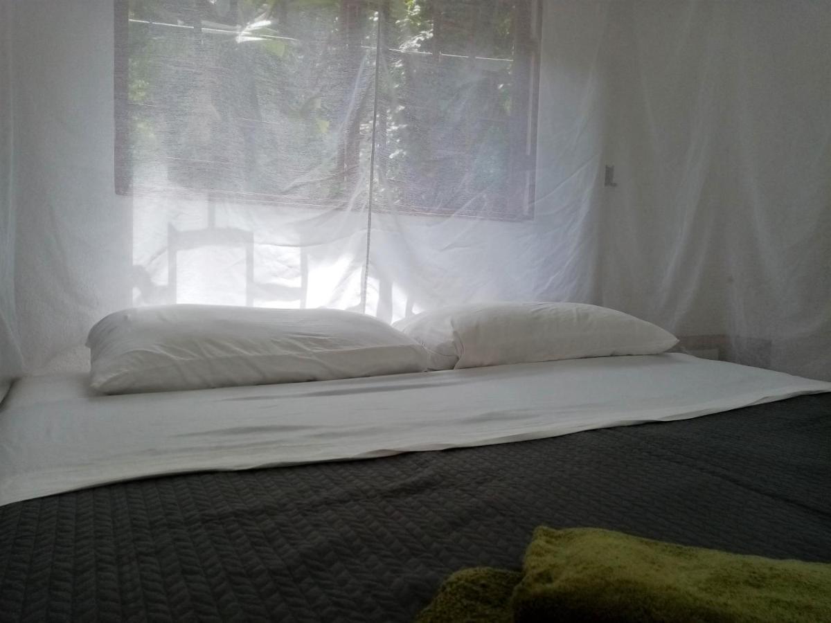 Bolita Trails And Lodging Dos Brazos المظهر الخارجي الصورة