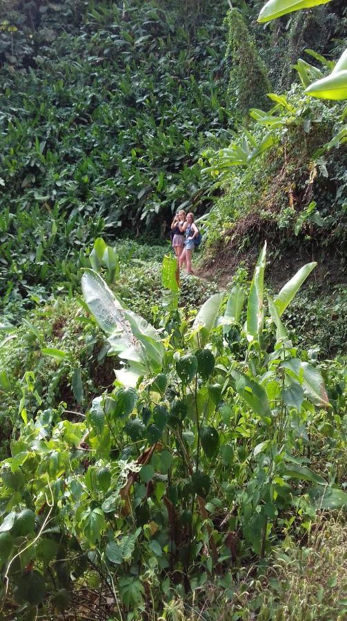 Bolita Trails And Lodging Dos Brazos المظهر الخارجي الصورة
