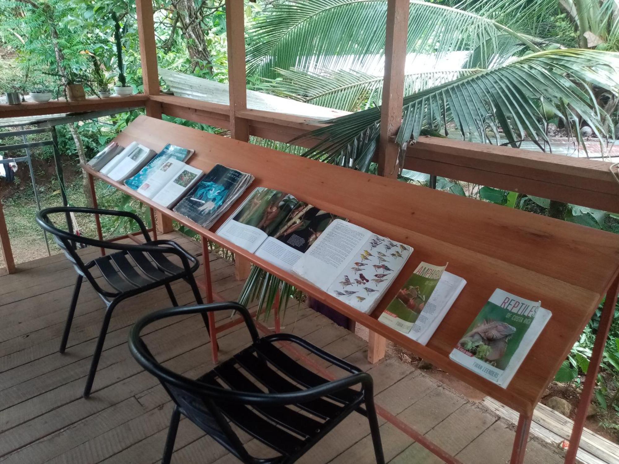 Bolita Trails And Lodging Dos Brazos المظهر الخارجي الصورة